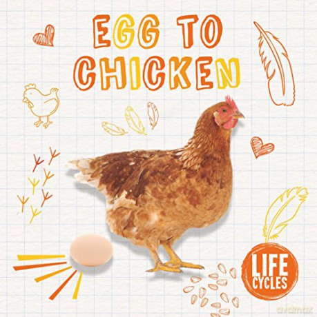 Life cycle of a chicken Life Cycles - irsty Holmes [KSIĄŻKA]