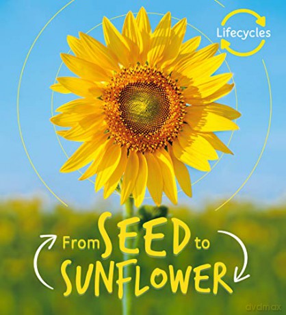 Lifecycles: Seed to Sunflower: 1 - Camilla de la Bedoyere [KSIĄŻKA]