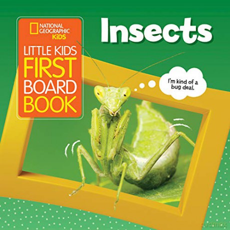 Little Kids First Board Book Insects National Geographic Kids - National Geographic Kids [KSIĄŻKA]