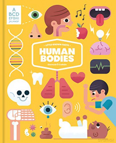 Little-known Facts: The Human Body - Diarmuid Ó Catháin [KSIĄŻKA]