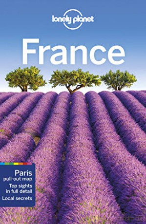 Lonely Planet France Travel Guide - Nicola Williams [KSIĄŻKA]