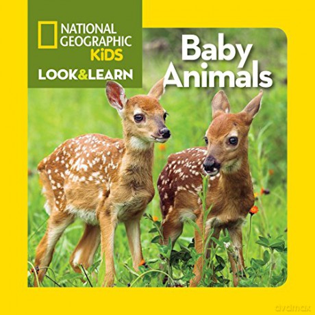 Look and Learn: Baby Animals Look&Learn - National Geographic Kids [KSIĄŻKA]