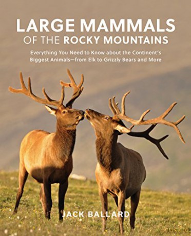 Mammals of the Rocky Mountainspb: Everything You Need to Know about the Continent's Biggest Animals-from Elk to Grizzly Bears and More Falcon Guides - Jack Ballard [KSIĄŻKA]