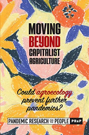 Moving beyond Capitalist Agriculture: Could agriculture prevent further pandemics [KSIĄŻKA]