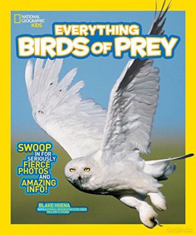 National Geographic Kids Everything Birds of Prey: Swoop in for Seriously Fierce Photos and Amazing Info - National Geographic Kids [KSIĄŻKA]