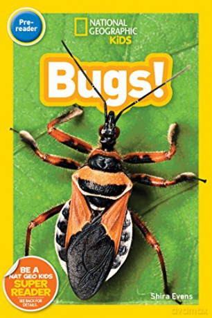 National Geographic Kids Readers: Bugs - National Geographic Kids [KSIĄŻKA]
