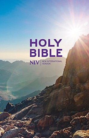 NIV Thinline Value Hardback Bible New International Version - New International Version [KSIĄŻKA]