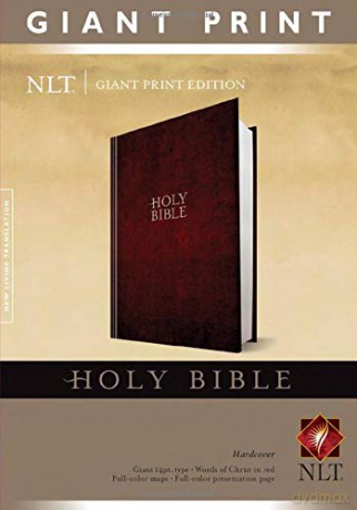 NLT Holy Bible, Giant Print - Tyndale [KSIĄŻKA]