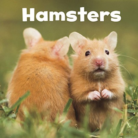 Our Pets: Hamsters - Lisa J. Amstutz [KSIĄŻKA]