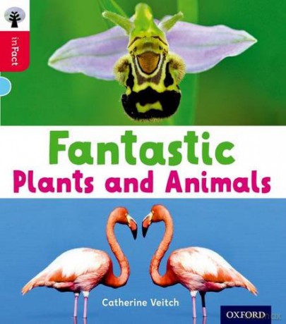 Oxford Reading Tree inFact: Oxford Level 4: Fantastic Plants and Animals - Catherine Veitch [KSIĄŻKA]