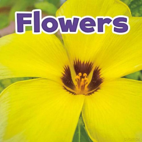 Plant Parts: Flowers - Marissa Kirkman [KSIĄŻKA]