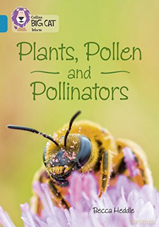 Plants, Pollen and Pollinators: Band 13/Topaz Collins Big Cat - Becca Heddle [KSIĄŻKA]