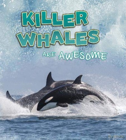 Polar Animals: Killer Whales Are Awesome - Jaclyn Jaycox [KSIĄŻKA]