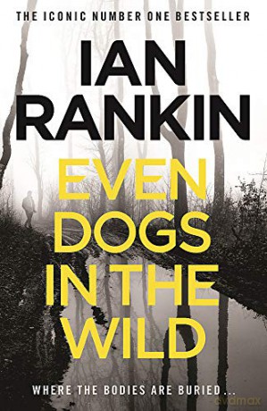 Rapid Stage 5: Assessment Book Series 2 RAPID SERIES 2 - Ian Rankin [KSIĄŻKA]