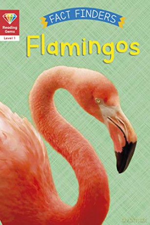 Reading Gems Fact Finders: Flamingos Level 1 - Katie Woolley [KSIĄŻKA]