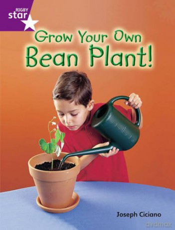 Rigby Star Guided Quest Purple: Grow Your Own Bean Plant! STARQUEST - Joseph Ciciano [KSIĄŻKA]