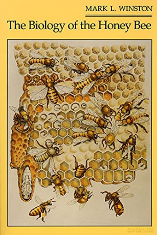 The Biology of the Honeybee - Ml Winston [KSIĄŻKA]