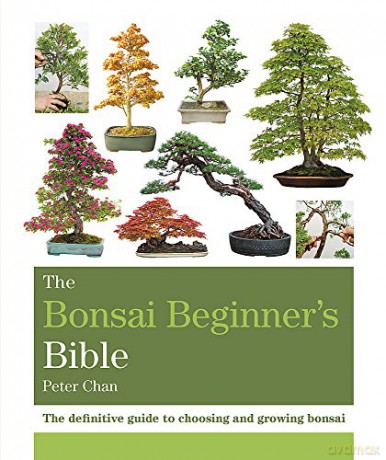 The Bonsai Beginner's Bible: The definitive guide to choosing and growing bonsai Octopus Bible Series - Peter Chan [KSIĄŻKA]