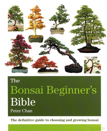 The Bonsai Beginner's Bible: The definitive guide to choosing and growing bonsai Octopus Bible Series - Peter Chan [KSIĄŻKA]