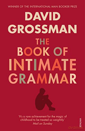 The Book Of Intimate Grammar - David Grossman [KSIĄŻKA]