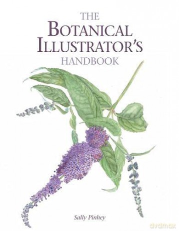 The Botanical Illustrator's Handbook - Sally Pinhey [KSIĄŻKA]