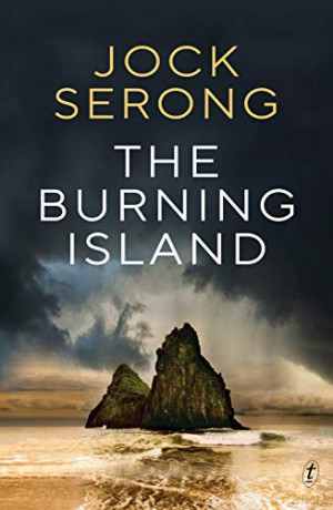 The Bronfenbrenner Primer: A Guide to Develecology - Jock Serong [KSIĄŻKA]