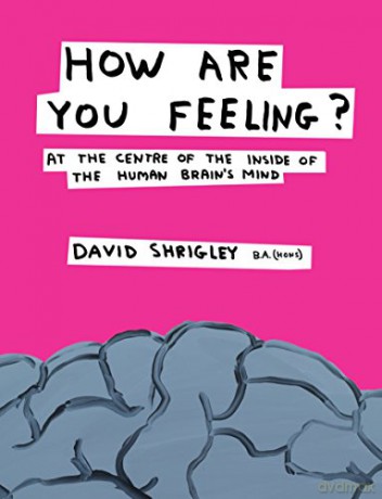 The Cambridge Companion to Queer Studies Cambridge Companions to Literature - David Shrigley [KSIĄŻKA]