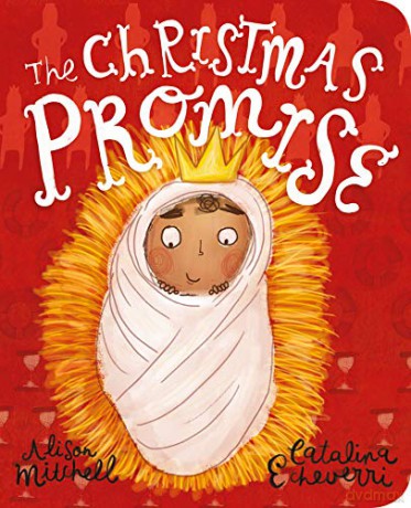 The Christmas Promise Board Book Tales that Tell the Truth - Alison Mitchell [KSIĄŻKA]