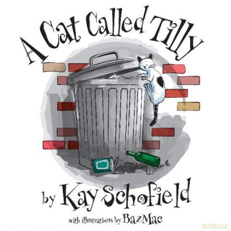 The Comet Seekers: Helen Sedgwick - Kay Schofield [KSIĄŻKA]
