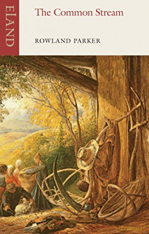 The Common Stream - Rowland Parker [KSIĄŻKA]