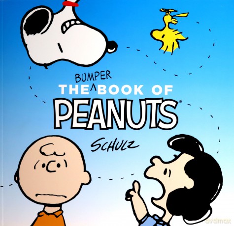 The Corrosion Of Character: Personal Consequences Of Work In The New Capitalism - Charles M. Schulz [KOMIKS]