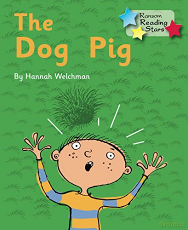 The Dog Pig Reading Stars: Phonics Phase 2 - Hannah Welchman [KSIĄŻKA]