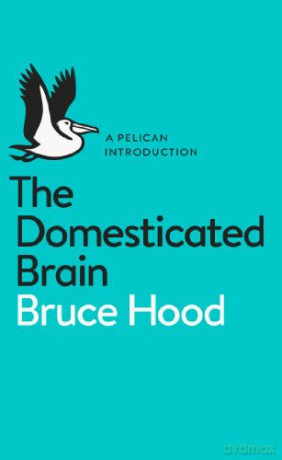 The Domesticated Brain: A Pelican Introduction Pelican Books - Bruce Hood [KSIĄŻKA]