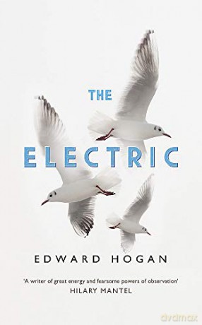 The Electric - Edward Hogan [KSIĄŻKA]
