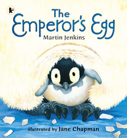 The Emperor's Egg: 1 - Martin Jenkins [KSIĄŻKA]
