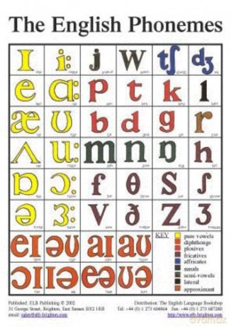 The English Phonemes in Colour TEFL Pronunciation Classroom Wall Poster - William Griffiths [KSIĄŻKA]