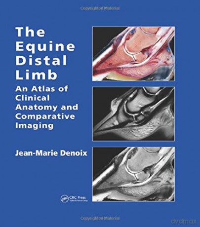 The Equine Distal Limb: An Atlas of Clinical Anatomy and Comparative Imaging - Jean-Marie Denoix [KSIĄŻKA]