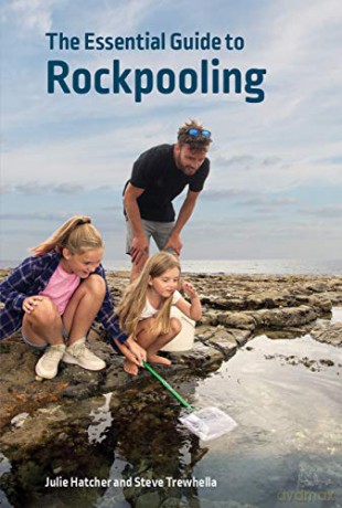 The Essential Guide to Rockpooling Wild Nature Press - Julie Hatcher [KSIĄŻKA]