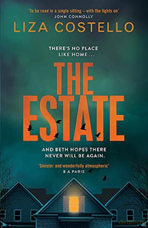The Estate - Liza Costello [KSIĄŻKA]