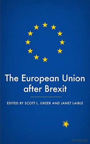 The European Union after Brexit - Janet Laible [KSIĄŻKA]