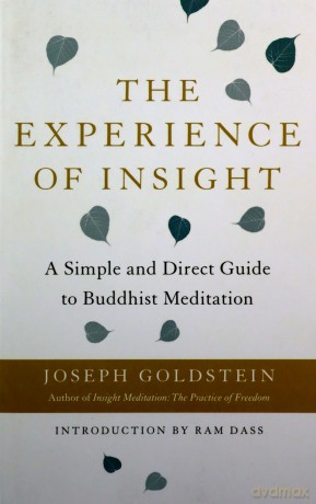 The Experience of Insight: A Simple and Direct Guide to Buddhist Meditation - Joseph Goldstein [KSIĄŻKA]