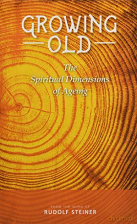 The Female Archangels: Reclaim Your Power with the Lost Teachings of the Divine Feminine - Rudolf Steiner [KSIĄŻKA]