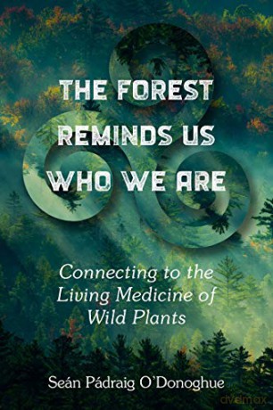 The Forest Reminds Us Who We Are: Connecting to the Living Medicine of Wild Plants - Donoghue [KSIĄŻKA]