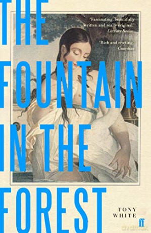 The Fountain in the Forest - Tony White [KSIĄŻKA]