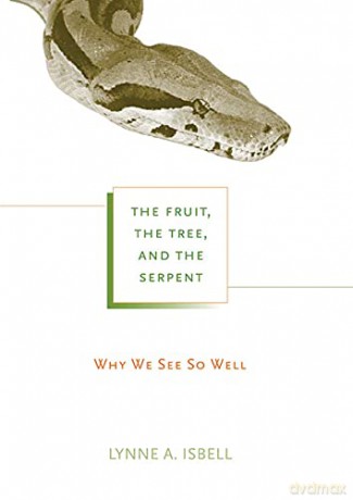 The Fruit, the Tree, and the Serpent: Why We See So Well - Lynne A. Isbell [KSIĄŻKA]