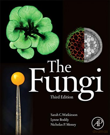 The Fungi - Sarah C. Watkinson [KSIĄŻKA]