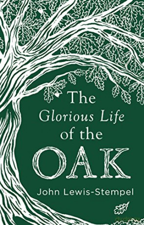 The Glorious Life of the Oak - John Lewis-Stempel [KSIĄŻKA]