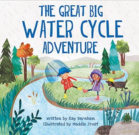 The Great Big Water Cycle Adventure Look and Wonder - Kay Barnham [KSIĄŻKA]