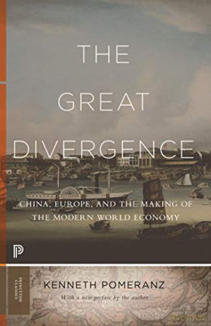 The Great Divergence: China, Europe, and the Making of the Modern World Economy: 118 Princeton Classics, 118 - Kenneth Pomeranz [KSIĄŻKA]