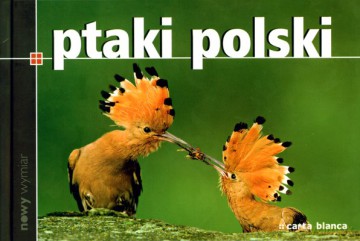 Ptaki Polski Nowy Wymiar (twarda) [KSIĄŻKA]